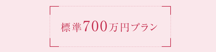 標準700万円プラン